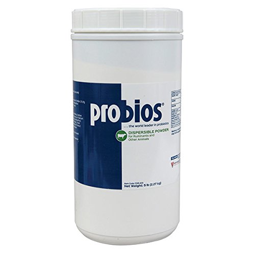 Vet's Plus Probios Dispersible Powder - 5 lbs Vet's Plus Probios Dispersible Powder - 5 lbs