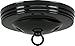 Satco 90-065 Canopy Kit, Color