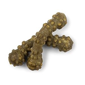 Arm & Hammer for Pets Fresh Spectrum 360 Degree Boomerang Bone Dental Treats | Dental Chews Fight Bad Breath, Plaque & Tartar Without Brushing | Coconut Mint Flavor, 14 Count