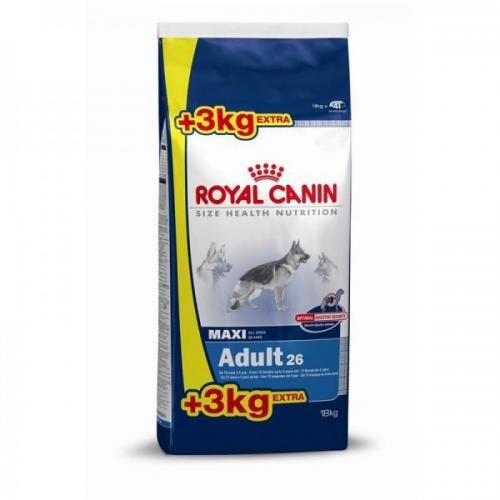 Royal Canin, Size Maxi Adult, mangime secco per