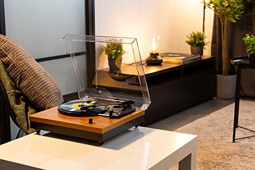 Fenton RP112L Platine Vinyle Bluetooth à 3 Vitesses – Bois Clair, Tourne Disque avec Haut-parleurs intégrés, adaptée… - Les Beatles, Paul McCartney, John Lennon, RIngo Starr, George Harrison Fenton RP112L Platine Vinyle Bluetooth à 3 Vitesses - Bois Clair, Tourne Disque avec Haut-parleurs intégrés, adaptée… – Image 3