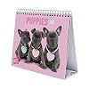 Erik – Studio Pets Dogs 2021 Bureau Kalender – Desktop Calendar 2021