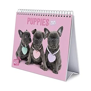 Erik – Studio Pets Dogs 2021 Bureau Kalender – Desktop Calendar 2021