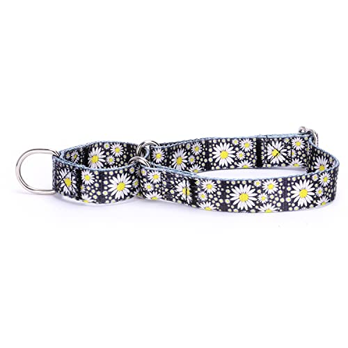 haoyueer Heavy Duty Nylon Adjustable Martingale Dog Collar for Walking Training Boy and Girl Dogs (L:45-53CM, Little Daisy)