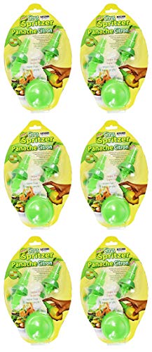 Set of 6 Citrus spritzers - Great to Spice Up