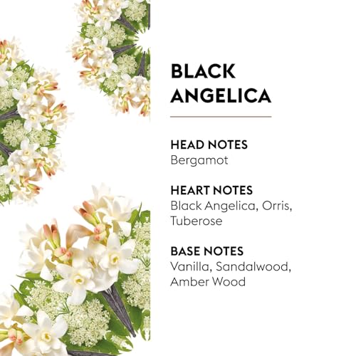 Image of MAISON BERGER Car Diffuser Refill Set, Black Angelica | Bergamot Tuberose Vanilla Notes, 2 Ceramic Inserts, Fits MAISON BERGER Vent Clips, 4-Week Diffusion, Made in France