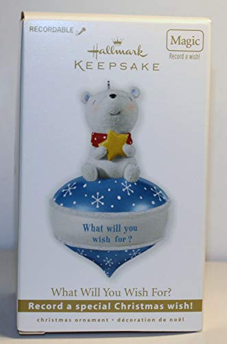 Hallmark Keepsake Ornament What Will You Wish for 2010