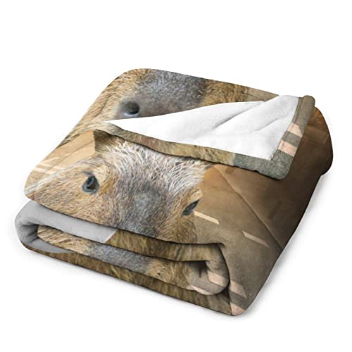Capybara Blanket Gifts, 40"*50" Flannel Throw Blanket, Soft Warm Fuzzy Fluffy Plush Blankets For Girls Boys, For Sofa Couch Bed Travel Room Decor #TOP2