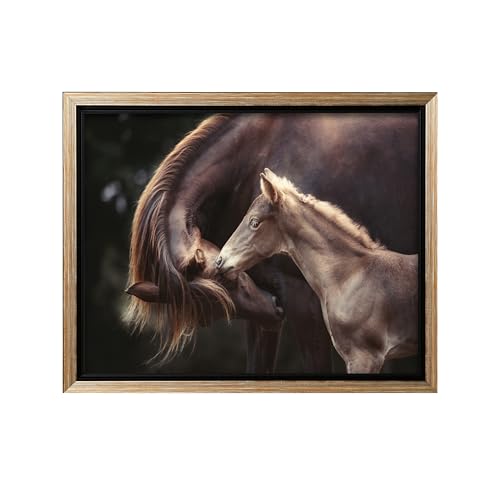 Monem Art Mare and Foal Bond Photography Print - Tender Horse Family Art Poster - Wall Decor for Living Room, Bedroom or Nursery - 24x32 Silver Framed CANVAS Wall Art by Heike Willers