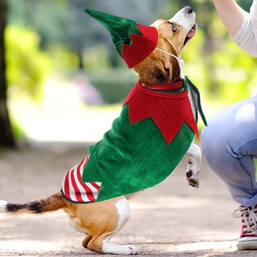 Disfraz Navideño para Perro Tamaño S Verde miniatura 5