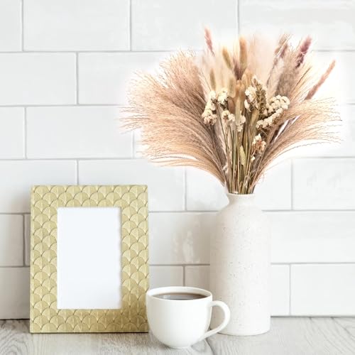 Pampas Grass Large Dried Pampas Grass Natural 70pcs miniatura 5