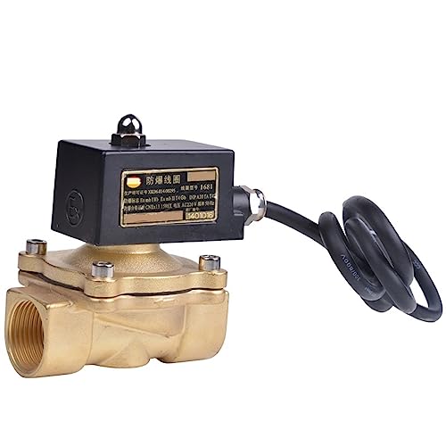 Électrovanne antidéflagrante 2 pouces 24VDC normalement fermée 2W500-50 grande vanne de gaz