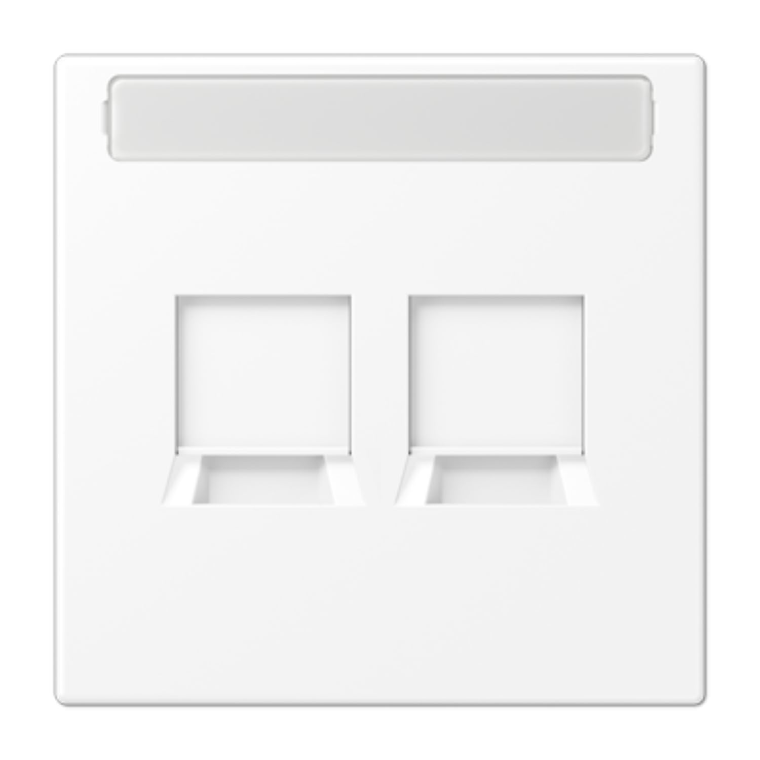 Plaque pour 2 prises Jack-Rad JUNG LS1969-2NAWEWWM blanc mat de finition