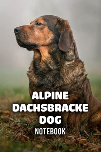  Alpine Dachsbracke Dog Notebook: Notebook Journal Diary/ Lined - Size 6x9 Inches 100 Pages
