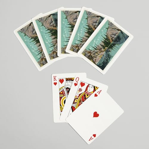 Baraja de 52 cartas tamaño póker vista Sylvan Lake miniatura 7
