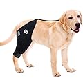 Hilph Dog Knee Brace for ACL, Adjustable Dog Hind Legs Braces with Straps Extra Support Brace for Knee Cap Dislocation, Joint Support, Reduces Pain and Inflammation (Right Leg)