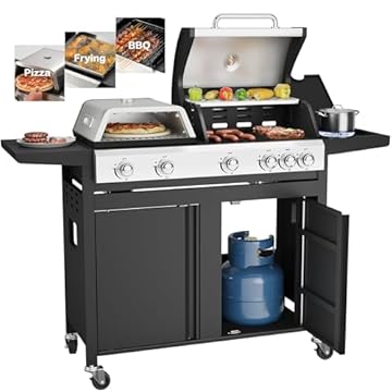 propane grill with pizza oven