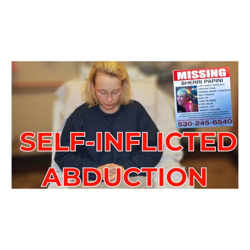 Truth, Lies, and Consequences :Mother Coordinates Abduction