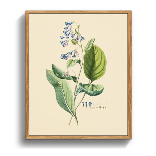 MHARTK66 Cuadros Decoracion Dormitorios con Marco Madera, 20x25 cm Vintage Planta Lienzos Decorativos Pared Salon, Cuadros Pequeños Decoracion...