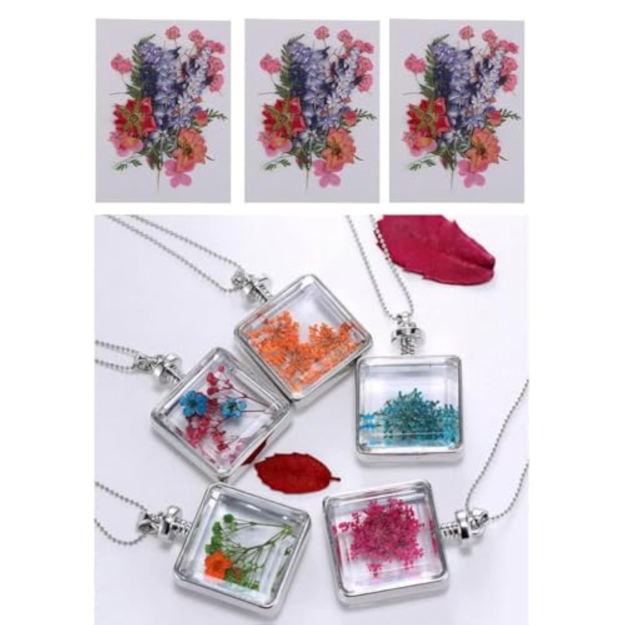 3 Multiple Dried Flowers for DIY Arts Crafts