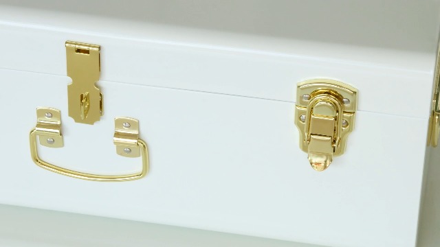 Amazon.com: Vixdonos Decorative Metal Box Storage Trunks Set of 2