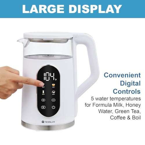 Fast Boiling 1.7L Glass Electric Kettle, Temperature Control, White