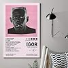 Tyler The Creator Poster Music Album Igor Cover Music Posters for Room Aesthetic Canvas Wall Art Bedroom Decor12x18inch(30x45cm) #5