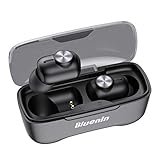 Bluenin BlueLiberty Pro 1 True Wireless Stereo Earbuds,Bluetooth Headphones with Charging Case,40 Hrs Playtime/Twin&Mono Mode/Noise Canceling Sport Earphones with Mic (Black)