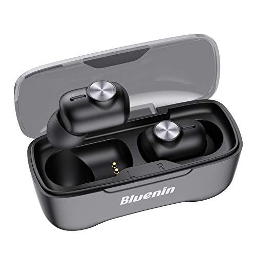Bluenin BlueLiberty Pro 1 True Wireless Stereo Earbuds,Bluetooth Headphones with Charging Case,40 Hrs Playtime/Twin&Mono Mode/Noise Canceling Sport Earphones with Mic (Black)
