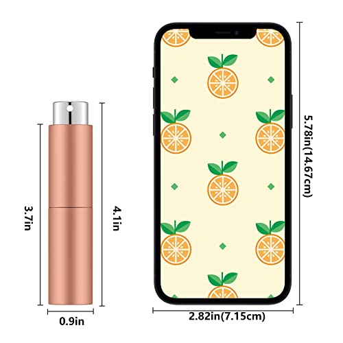 Lil Ray 8Ml Portable Perfume Atomizer (2 Pcs) Refilable Empty Mini Spray Bottle For Travel Pocket Cologne Liquid Sprayer (Matte Black&Rose Gold) #TOP5
