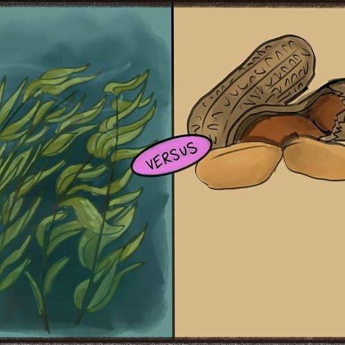 Seaweed vs Peanuts