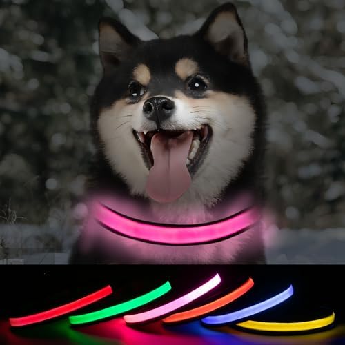 Glow Dog Collars Rechargeable, LED Light Up Collars, Glowing Dog Collar USB, Night Walking Lighted Glowing Collar for Small Dogs (Pink, Pack of 1, S)