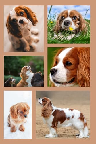  Blenheim with Love: Cavalier King Charles Spaniel Notebook: A Cute & Practical Journal Notebook for Dog Lovers