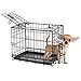 Precision Pet Products Two Door Provalue Wire Dog Crate, 19 Inch, For Pets up to 15 lbs, With 5-Point Locking System