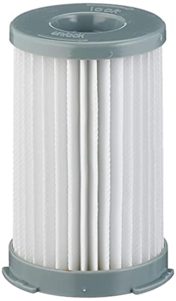 AEG 9001669119 AEF75B Central Filter for Minion/Ergoeasy/Vampyrette/Accelerator