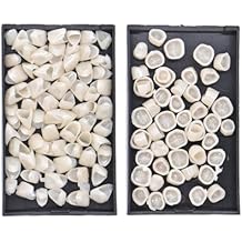 2 Box Dental Temporary Crown Veneers Tooth Cap Crown Veneers,for Front Back Tooth,Dental Supplies