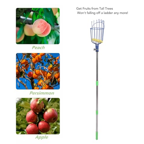 Recolector de frutas 20 Imagen adicional