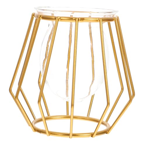 Gatuida Jarrón Hidropónico Creativo Bonito Florero Maceta Hidropónica Práctica para Contenedor Hidropónico para Oficina Mesa Decoración De Hogar