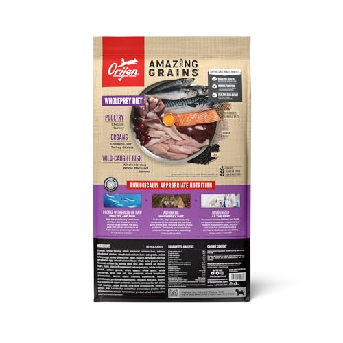 ORIJEN Amazing Grains High Protein Dry Dog Food Puppy Large Breed Recipe 22.5lb Bag