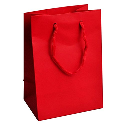 Small Red Gift Bags Pack of 10 Health & Household
