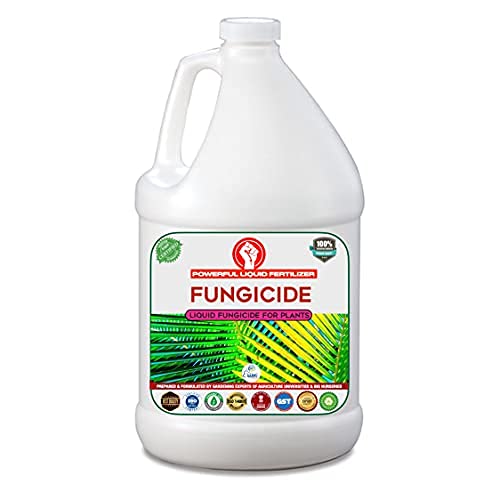 Erwon® Fungus Remover, Essential Powerful Organic Liquid for removing all types of Fungus From Plants (1000 ml)