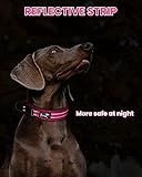 PETTOM Hundehalsband Verstellbare Nylon Hunde Halsband Atmungsaktives Reflektierend Halsband (Rose M)