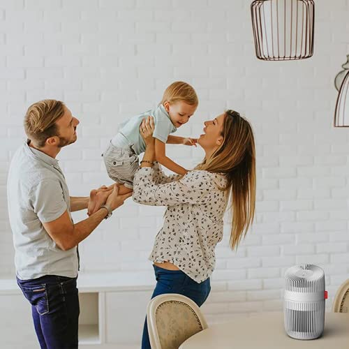 Purificateur D'air Boneco P130 Hepa H13 Et Ioniseur - vue 10