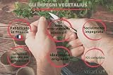 Vegetalius B0DK36J58D lato 4