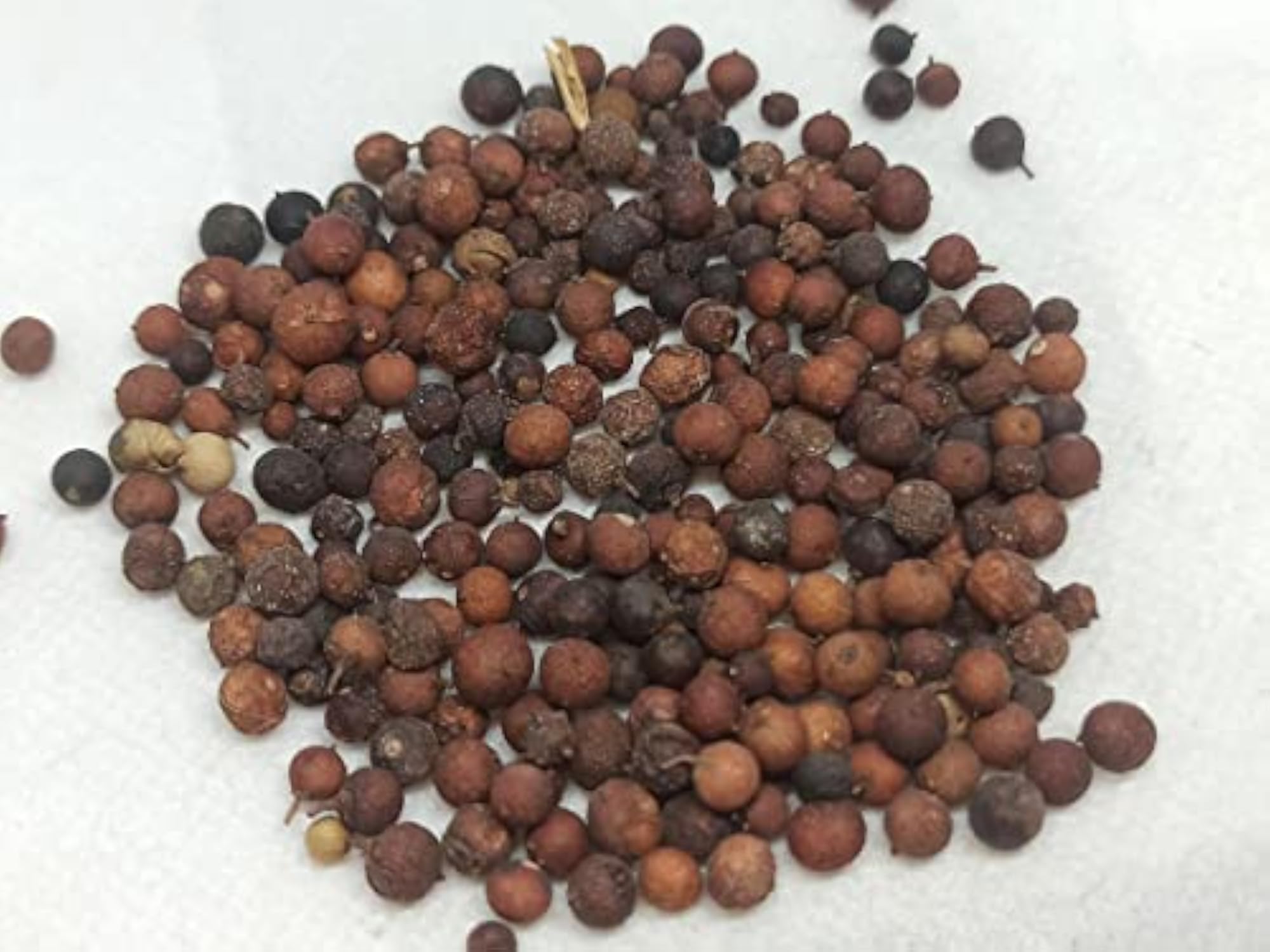 False Pepper (VaaI Vidagam), 250 Grams