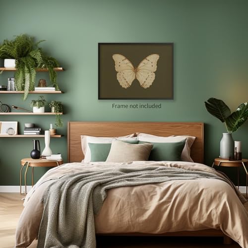 Sufeasdf Vintage White Butterfly Canvas Wall Art Dark Moody Insect Room Aesthetic Poster Nature Country Green Print Antique Moth Artwork for Home Bedroom Dorm Gallery 11x14in Unframed - Thumbnail 6