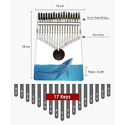 Hearda Kalimba 17 clés Instrument de Musique, Portable Pouce Piano Africain Marimba Kalimba Cadeau Kit avec Accordeur… - Les Beatles, Paul McCartney, John Lennon, RIngo Starr, George Harrison Hearda Kalimba 17 clés Instrument de Musique, Portable Pouce Piano Africain Marimba Kalimba Cadeau Kit avec Accordeur… – Image 4