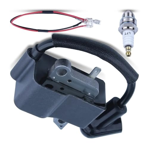 Bobine d'allumage haute performance et bougie 510101501 pour moteurs 440, 445, 450