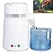 FoundGo 4L Wasser Destilliergerät 750W Destillierer Edelstahl Wasserdestilliergerät Reine Wasser Distiller,mit extra 4 Filter&Glaskanne, 1L/MIN, CE