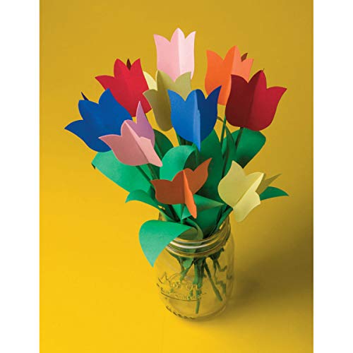 Tru-Ray Construction Paper P103031, 10 Classic Colors, 9" X 12", 50 Sheets #TOP3